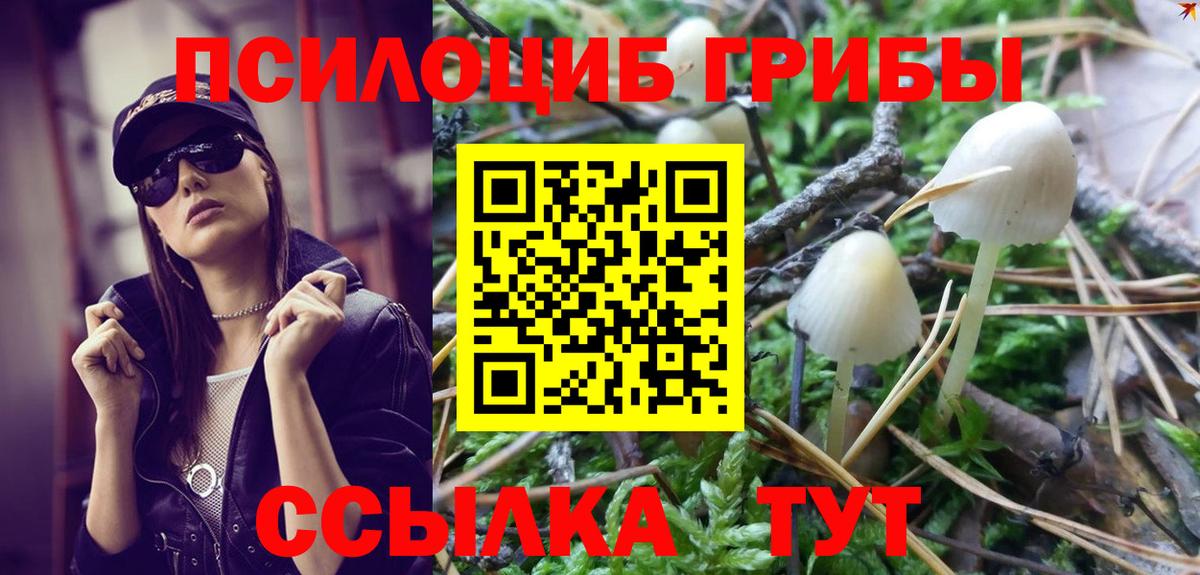 Галлюциногенные грибы GOLDEN TEACHER  Вход с VPN  Петрозаводск 